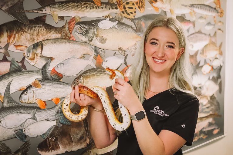 National Mississippi River Museum Aquarium snake. Photo credit Facebook 768x512