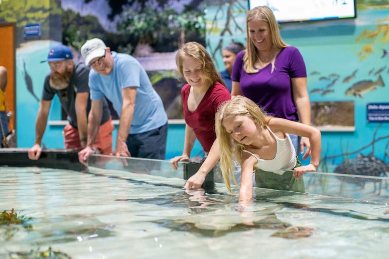 National Mississippi River Museum Aquarium touch tank. Photo credit Facebook 768x512