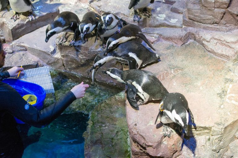 New England Aquarium 768x512