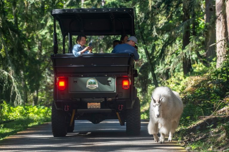Northwest Trek Wildlife Park vehicle tour 2. Photo credit Facebook 768x512