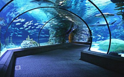Omaha’s Henry Doorly Zoo and Aquarium