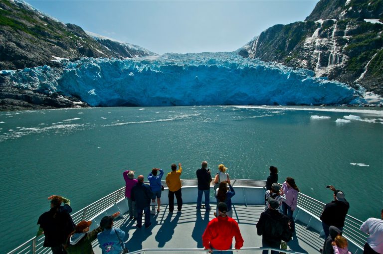 Phillips Cruises Tours Alaska wildlife trip. Photo credit Facebook 768x510