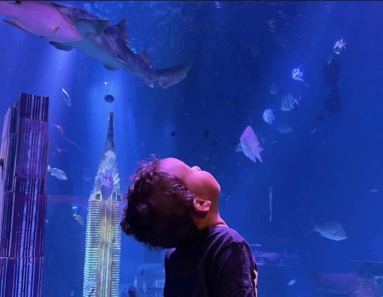 SEA LIFE Aquarium New Jersey exhibit 1. Photo credit Facebook 768x595