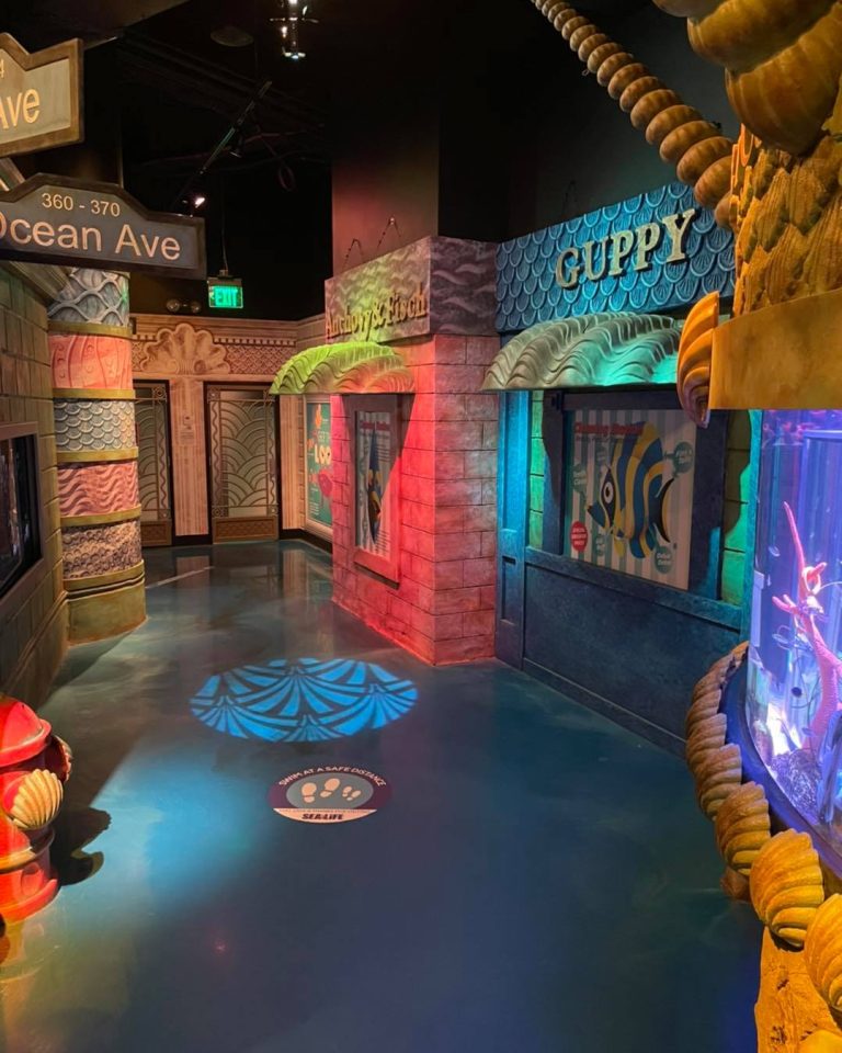 SEA LIFE Aquarium New Jersey interior 1. Photo credit Facebook 768x960