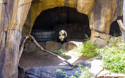 San Diego Zoo