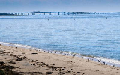 Chesapeake Bay Foundation