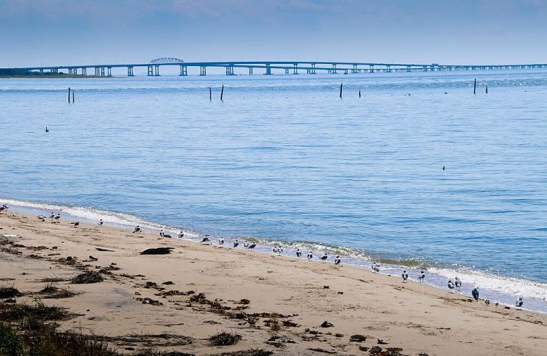 Chesapeake Bay Foundation Ole Bendik Kvisberg CC BY 2.0 768x501