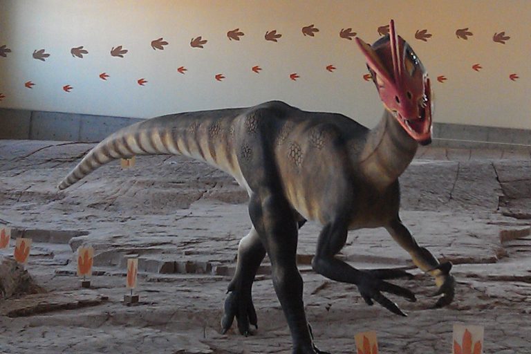 Dinosaur Discovery Site at Johnson Farm Facebook 768x512