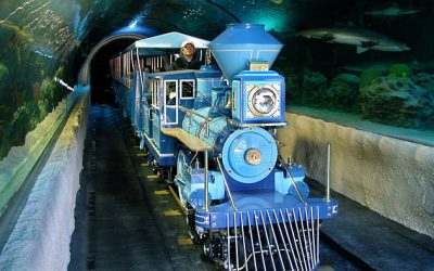 Downtown Aquarium – Houston