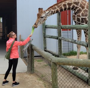 Heather Dale headshot - at the Central Florida Zoo and Botanical Garden 2022ish feeding giraffes