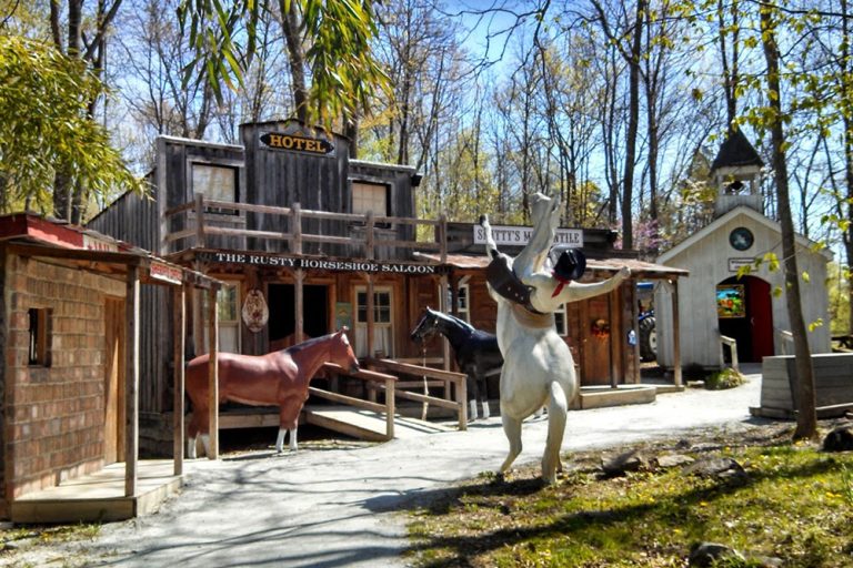 Land of Little Horses Performing Animal Theme Park 1 website 768x512