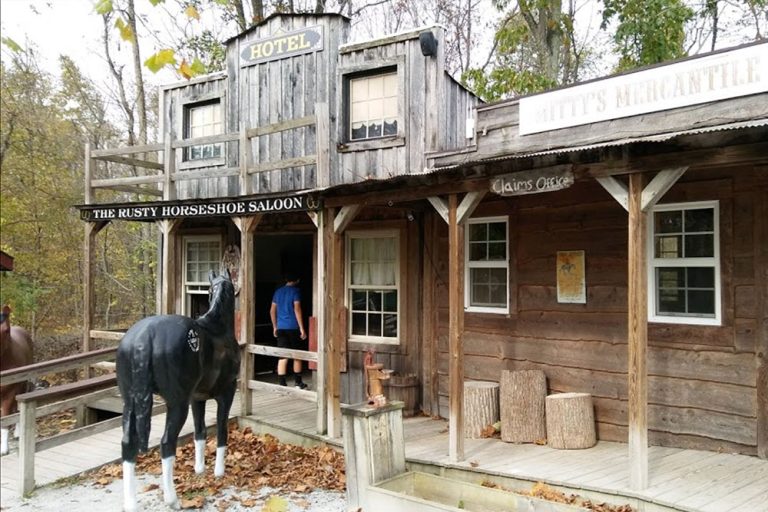 Land of Little Horses Performing Animal Theme Park 2 website 768x512