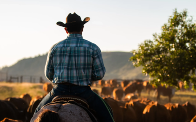 Montana Cowboy Hall of Fame & Western Heritage Center