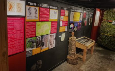 North American Bigfoot Center