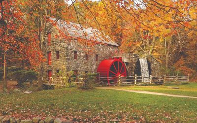 Fantastic Hidden Gems for Your Next Field Trip