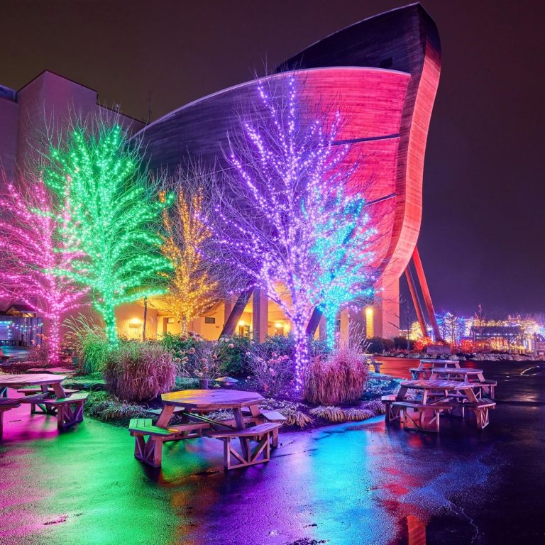 Ark Encounter holiday lights. Photo credit Ark Encounter Facebook 768x768