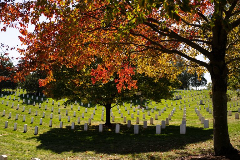 Arlington National Cemetery horticulture walking tour through hallowed grounds. Photo credit Arlington National Cemetery Facebook 768x512