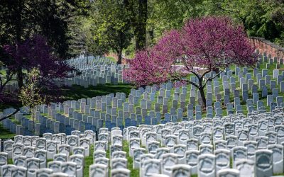 Arlington National Cemetery