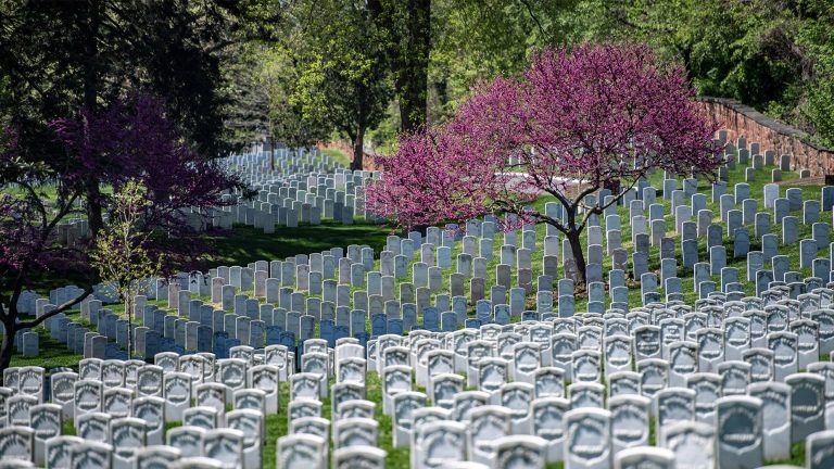 Arlington National Cemetery Website photo 768x432