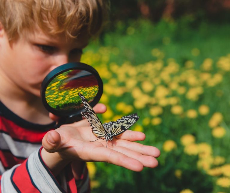 Bellingrath Gardens Home STEM programs for kids. Photo credit Bellingrath Gardens Home Facebook 768x644