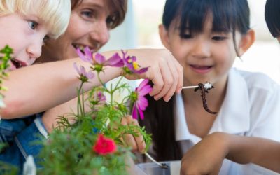 Bellingrath Gardens & Home