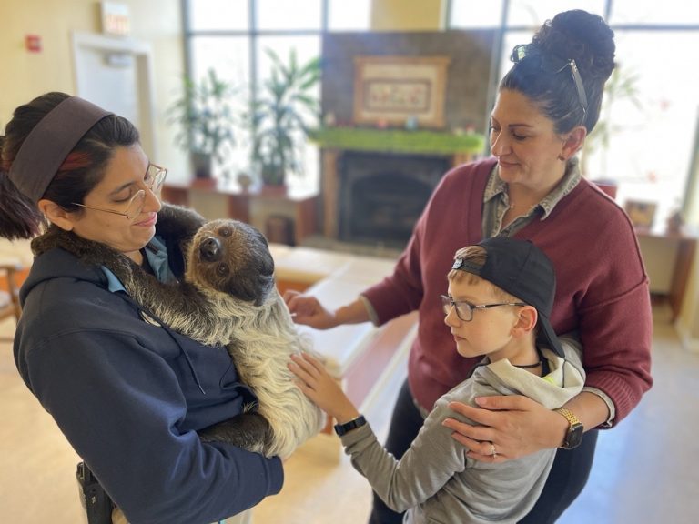 Brookfield Zoo Chicago animal encounters. Photo credit Brookfield Zoo Chicago Facebook 768x576