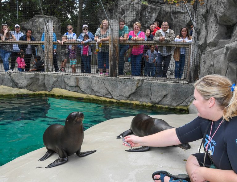 Brookfield Zoo Chicago live animal demonstrations 2. Photo credit Brookfield Zoo Chicago Facebook 768x590