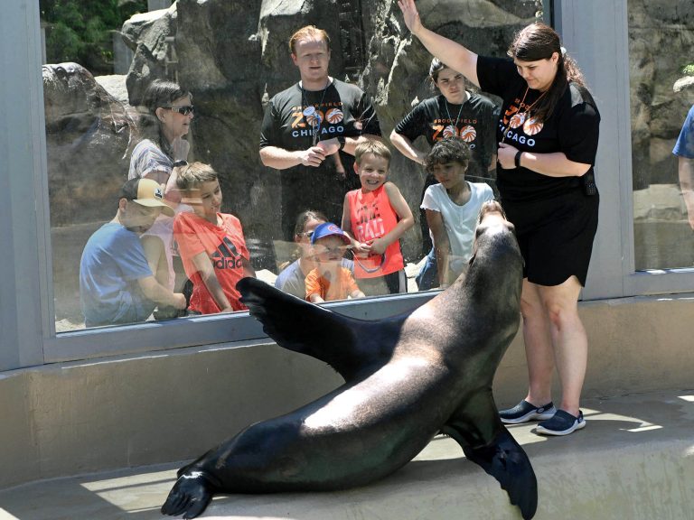Brookfield Zoo Chicago live animal demonstrations. Photo credit Brookfield Zoo Chicago Facebook 768x576