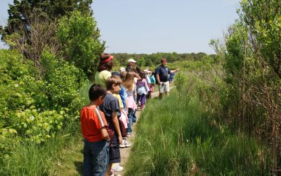 Cape Cod Museum of Natural History