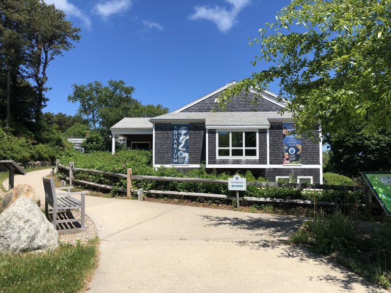 Cape Cod Museum of Natural History Photo by Todd Van Hoosear on Flickr 768x576