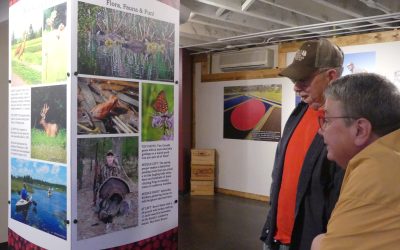 Discover Cranberries Museum