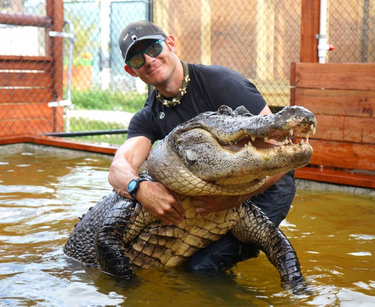 Everglades Holiday Park animal encounters. Photo credit Everglades Holiday Park Facebook 768x629