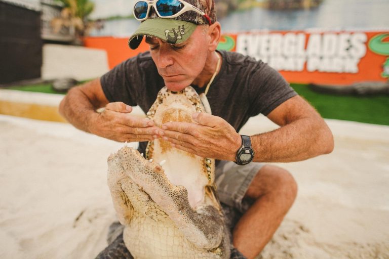 Everglades Holiday Park live animal demonstrations. Photo credit Everglades Holiday Park Facebook 768x512