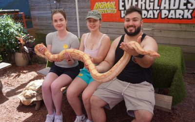 Everglades Holiday Park