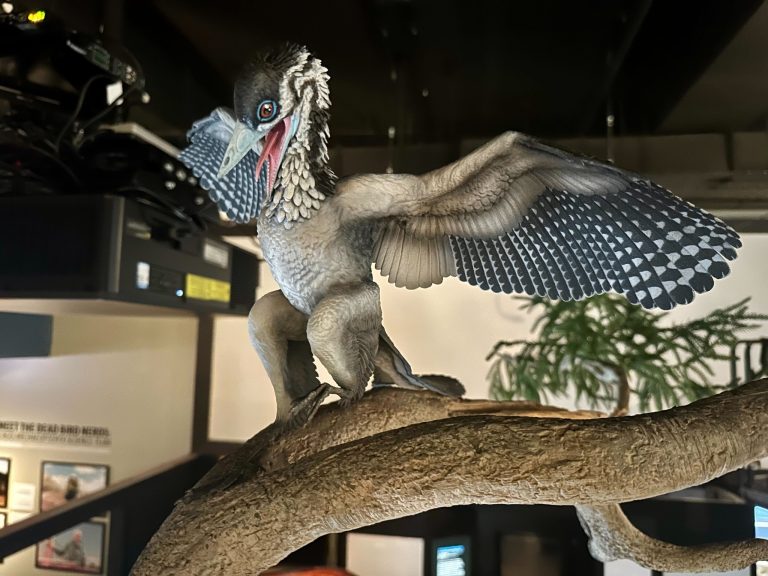 Field Museum dino exhibit 2. Photo credit Field Museum Facebook 768x576