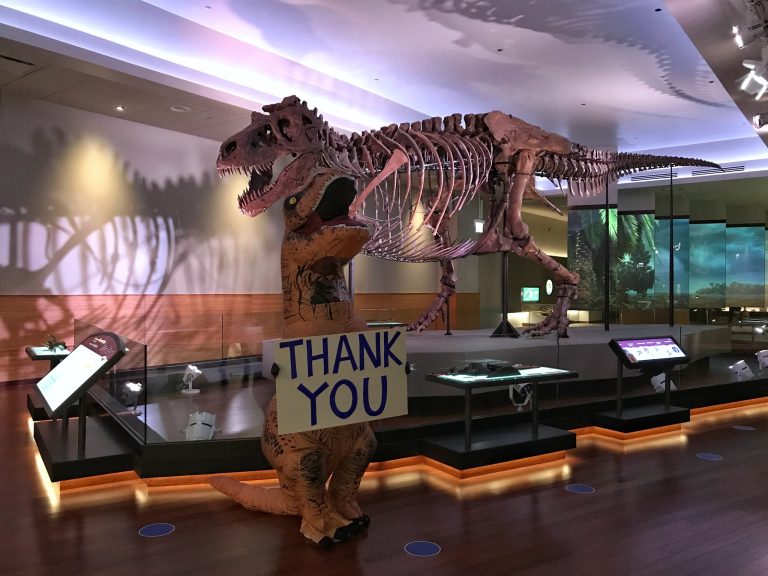 Field Museum dino exhibit. Photo credit Field Museum Facebook 768x576