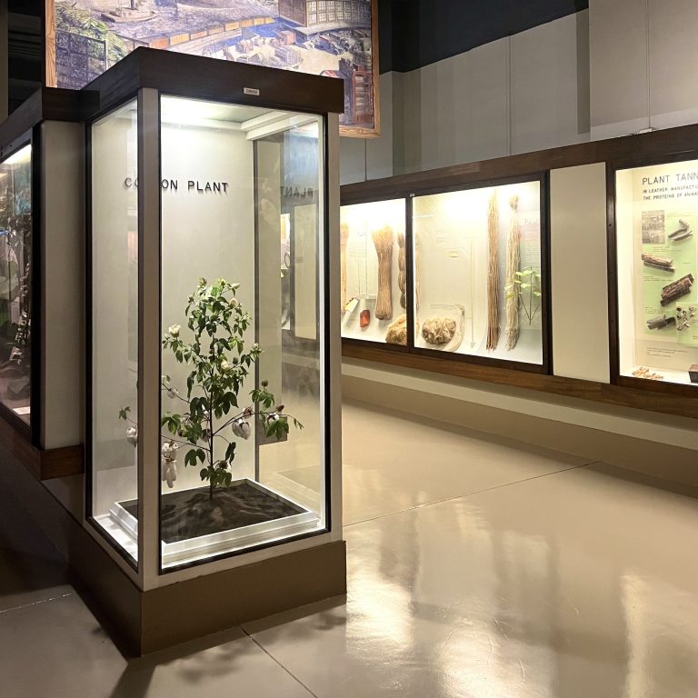 Field Museum exhibit. Field Museum Facebook 768x768