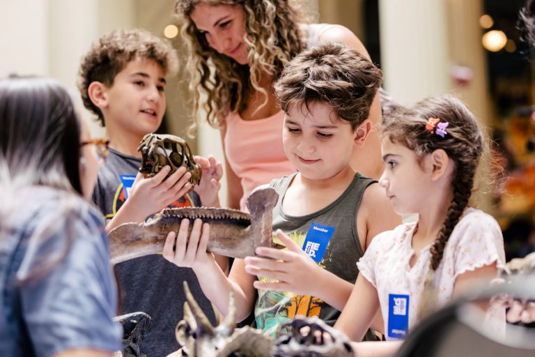 Field Museum hands on fun. Photo credit Field Museum Facebook 768x512