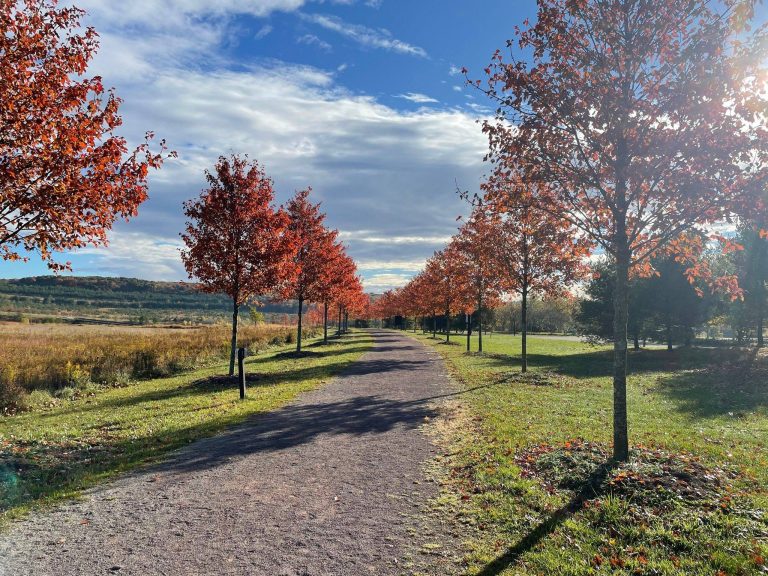 Flight 93 National Memorial hike the property for serene views. Photo credit Flight 93 National Memorial Facebook 768x576
