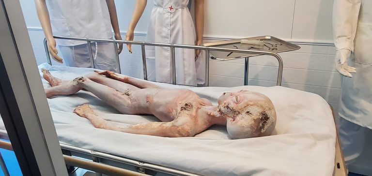 International UFO Museum Research Center alien exhibit 2. Photo credit International UFO Museum Research Center Facebook 768x364