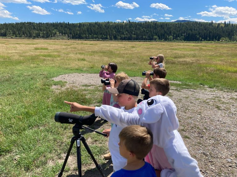Jackson Hole Wildlife Safaris wildlife viewing 2. Photo credit Jackson Hole Wildlife Safaris Facebook 768x576
