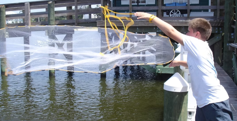 Maritime Seafood Industry Museum Website image 2 768x392