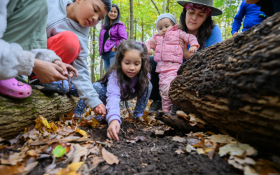 Mass Audubon Arcadia Wildlife Sanctuary