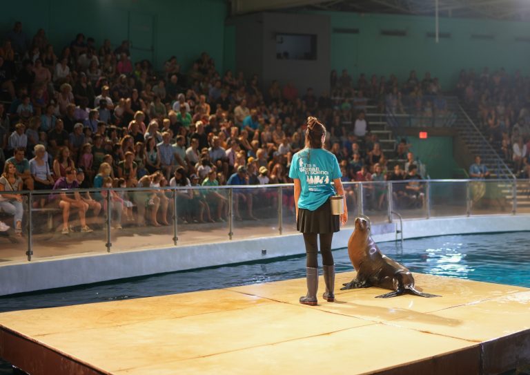 Mystic Aquarium in CT live animal demonstration. Photo credit Mystic Aquarium Facebook 768x543