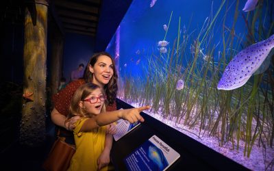 Newport Aquarium