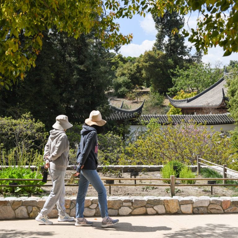 The Huntington Library Art Museum and Botanical Gardens exterior gardens. Photo credit The Huntington Library Art Museum and Botanical Gardens Facebook 768x768