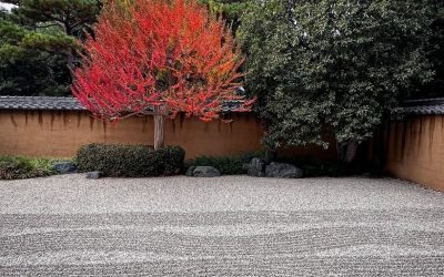 The Huntington Library, Art Museum, and Botanical Gardens