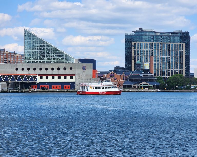 Watermark Tours Charters Cruises cruise through Baltimores Inner Harbor. Photo credit Watermark Tours Charters Cruises Facebook 768x614