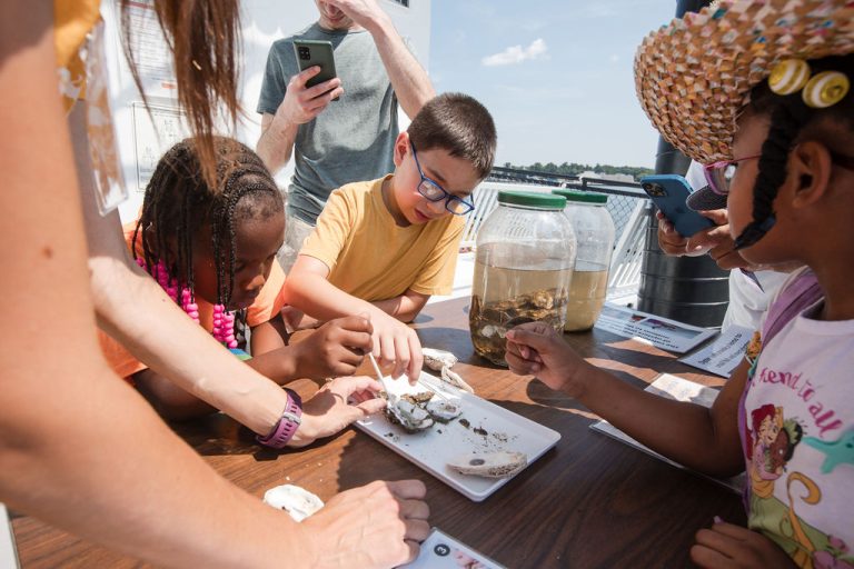 Watermark Tours Charters Cruises learning about the local ecosystem. Photo credit Watermark Tours Charters Cruises Facebook 768x512