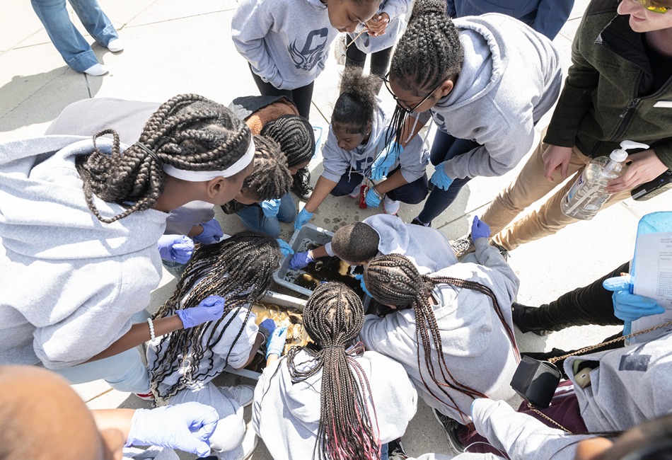 Baltimore National Aquarium for Student Groups